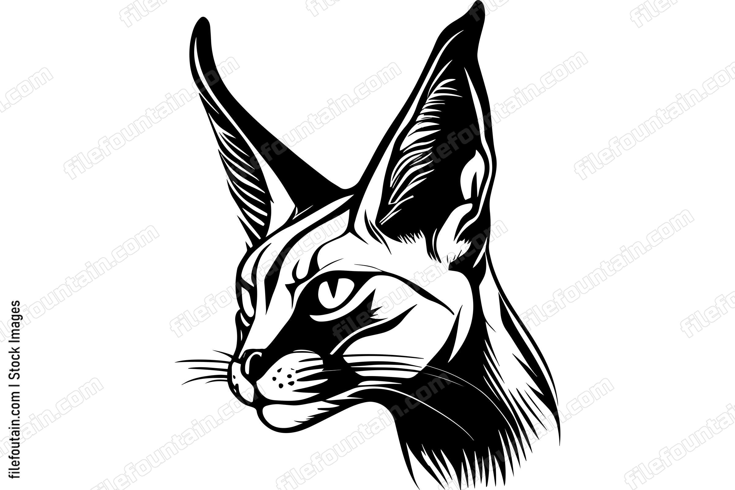 Caracal