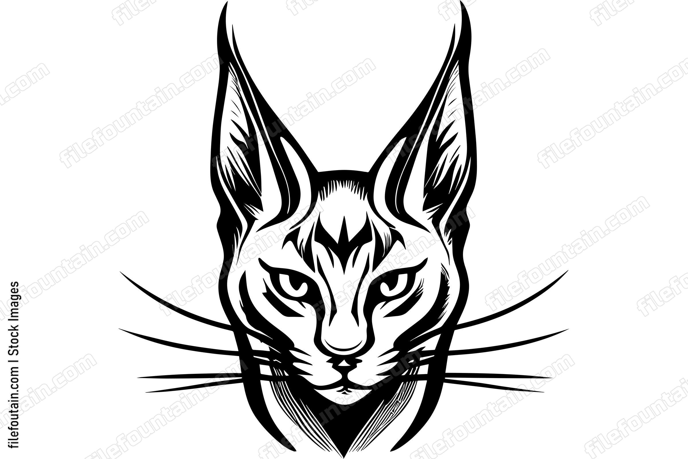 Caracal