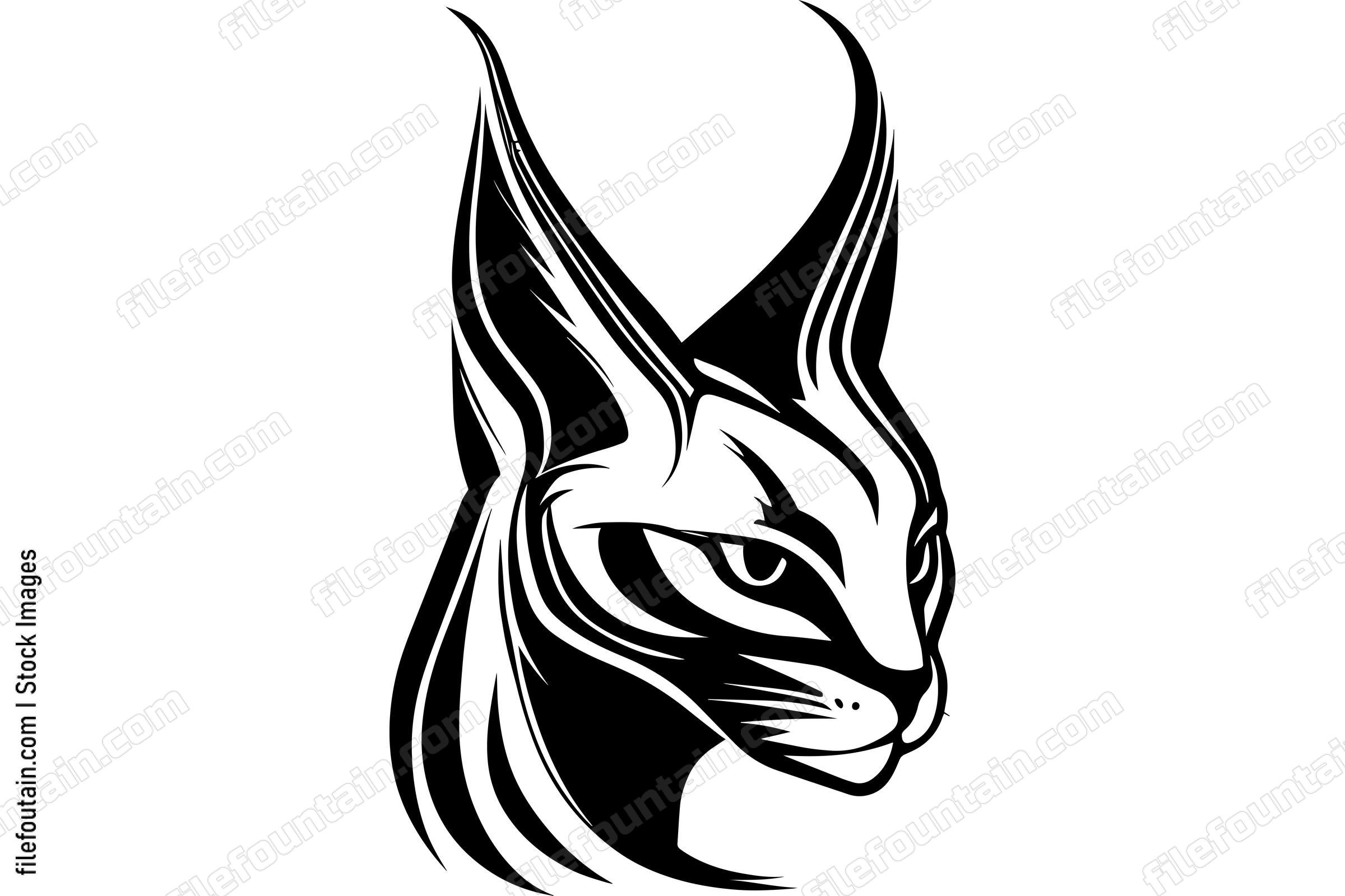 Caracal