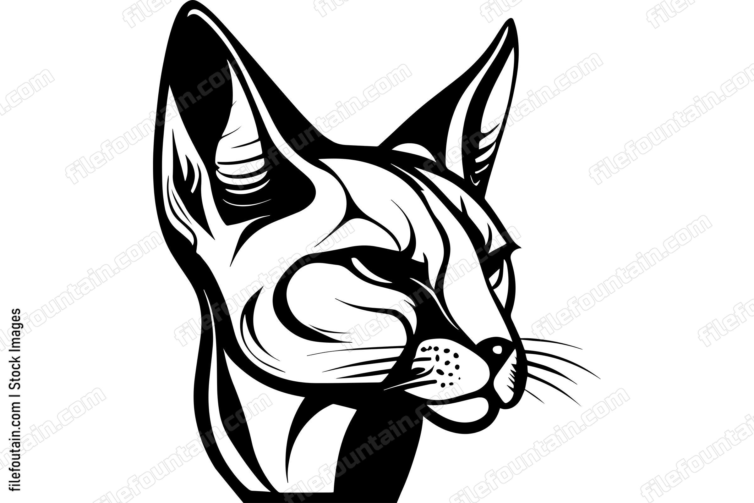 Caracal