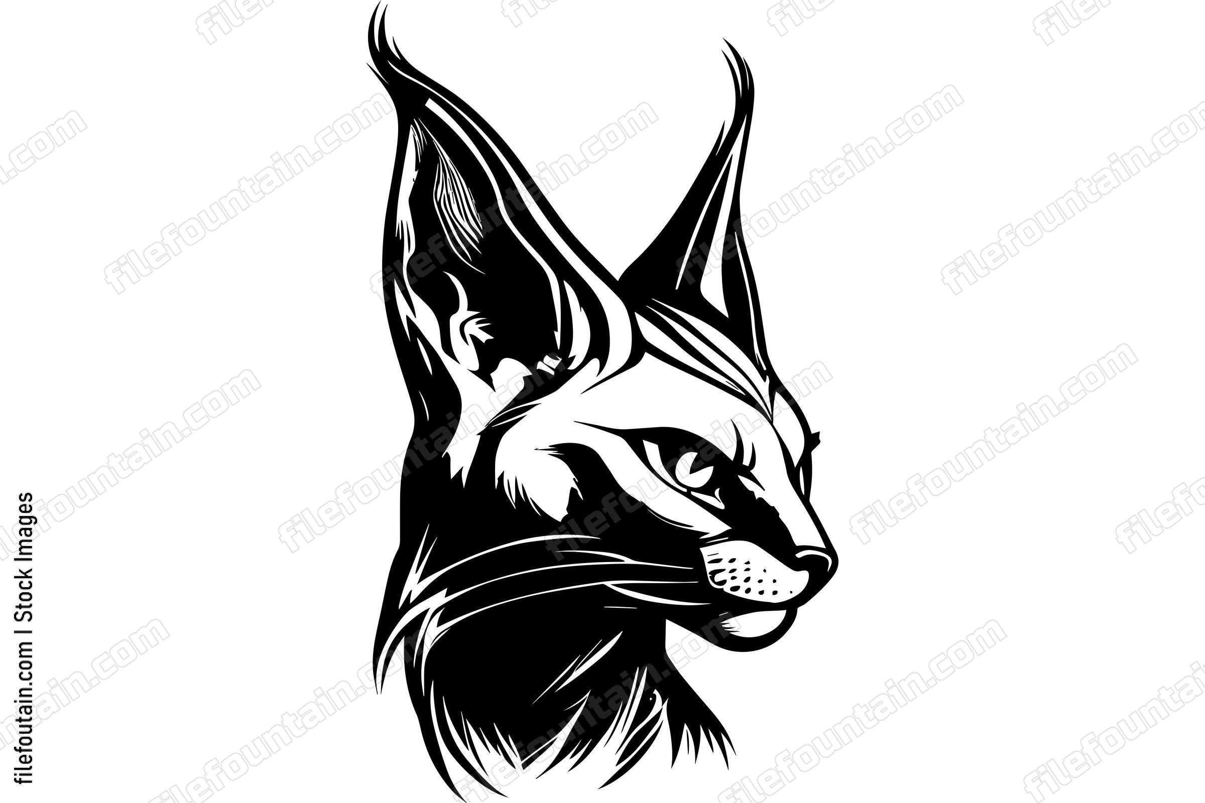 Caracal