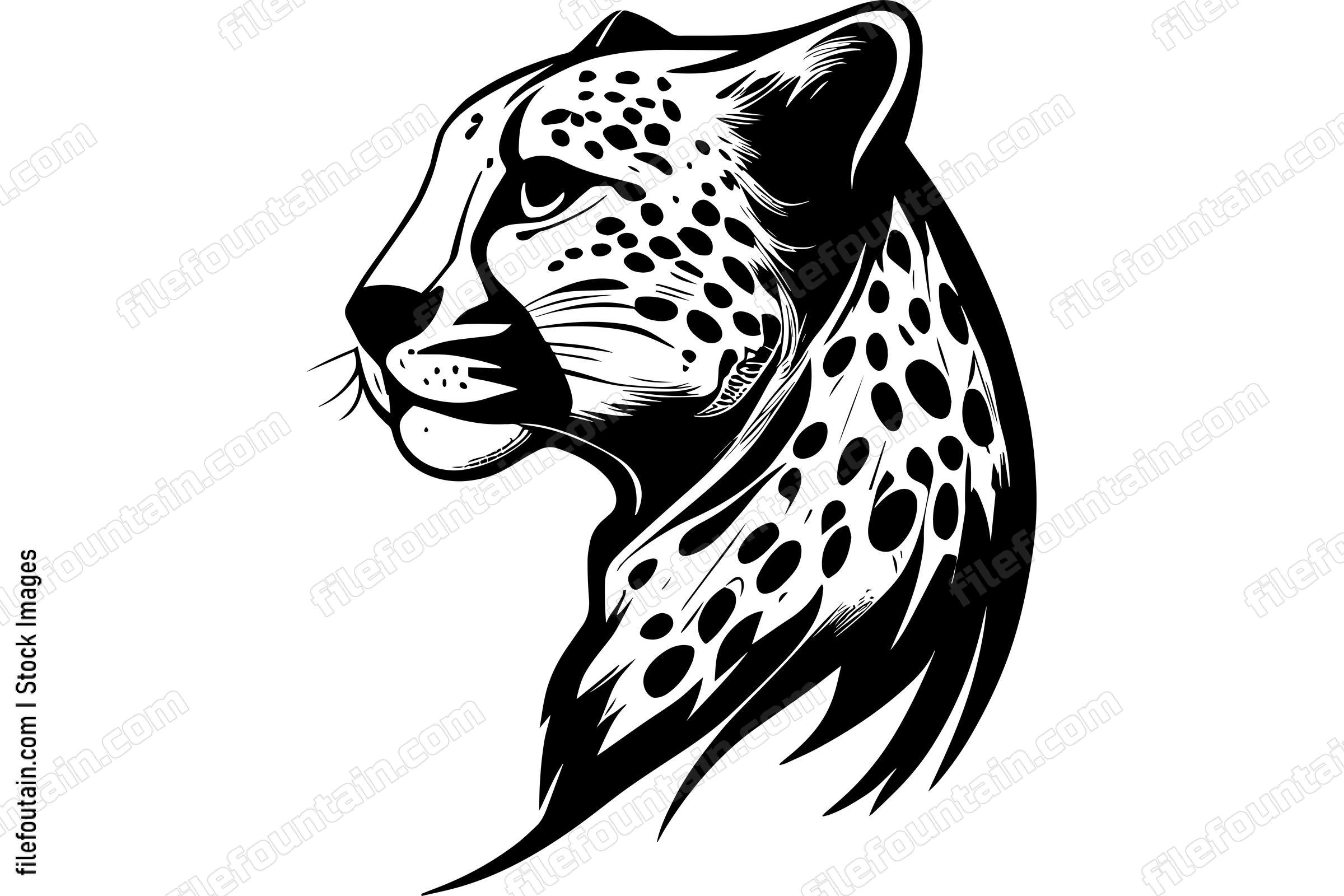 Cheetah