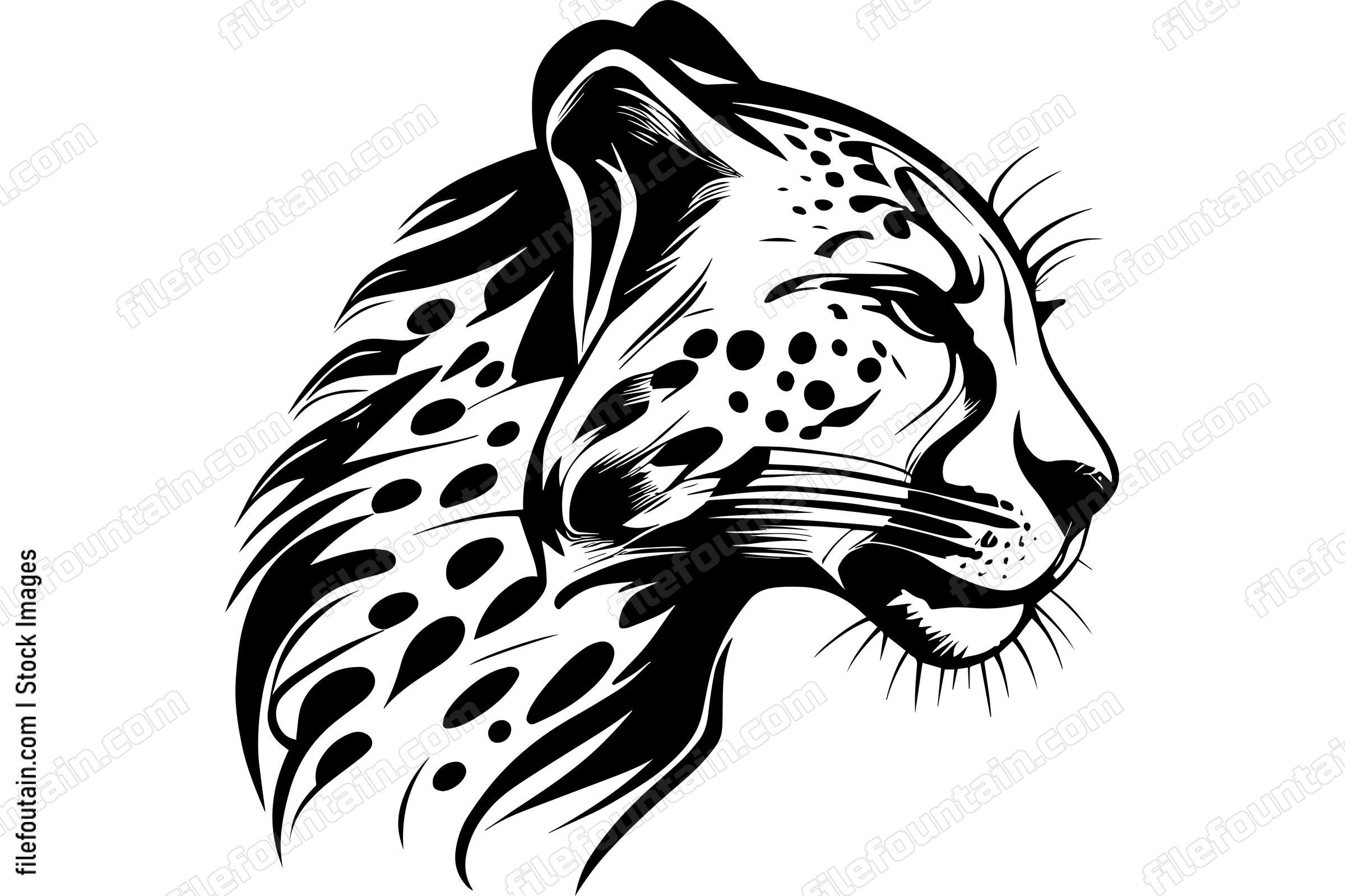 Cheetah