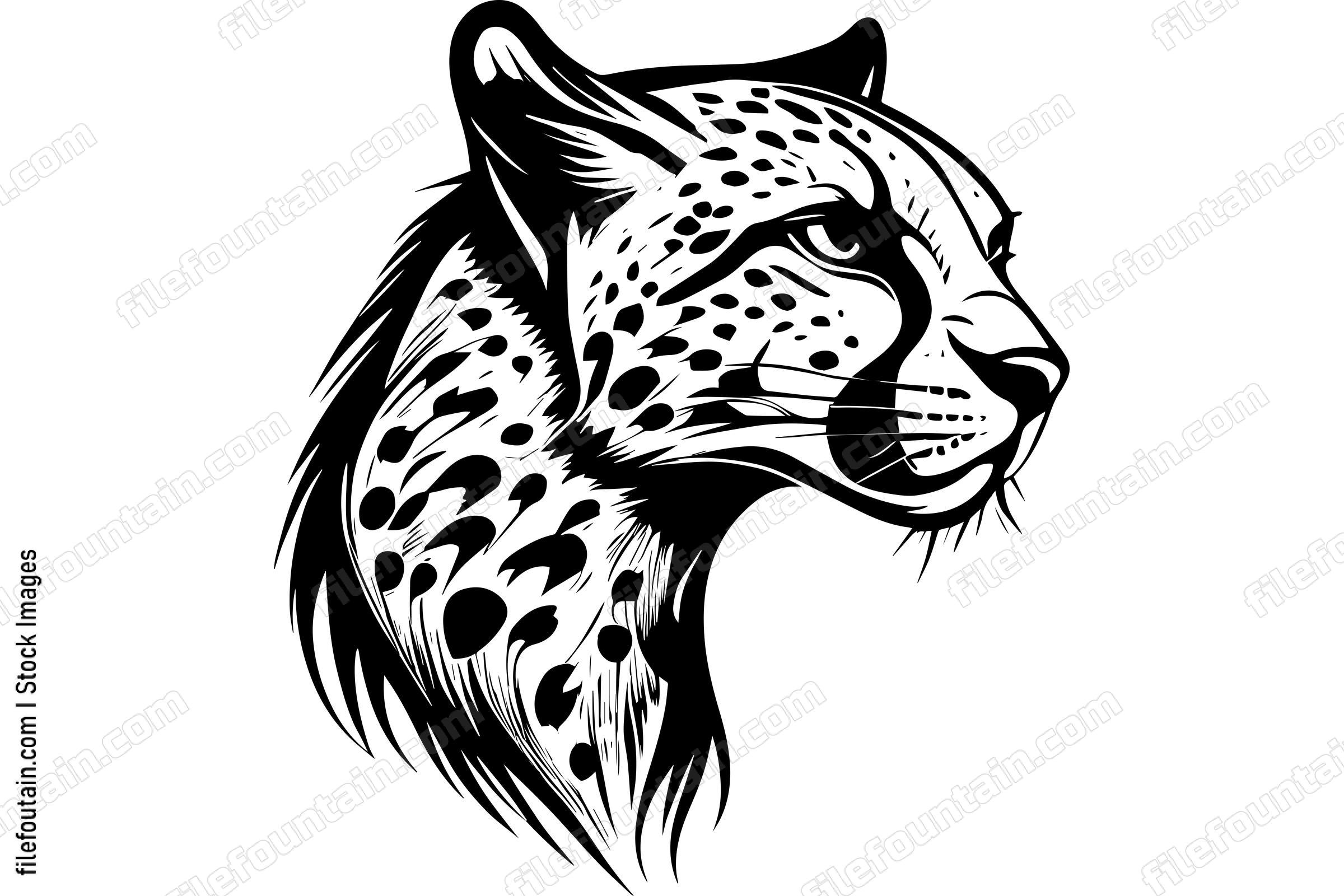 Cheetah