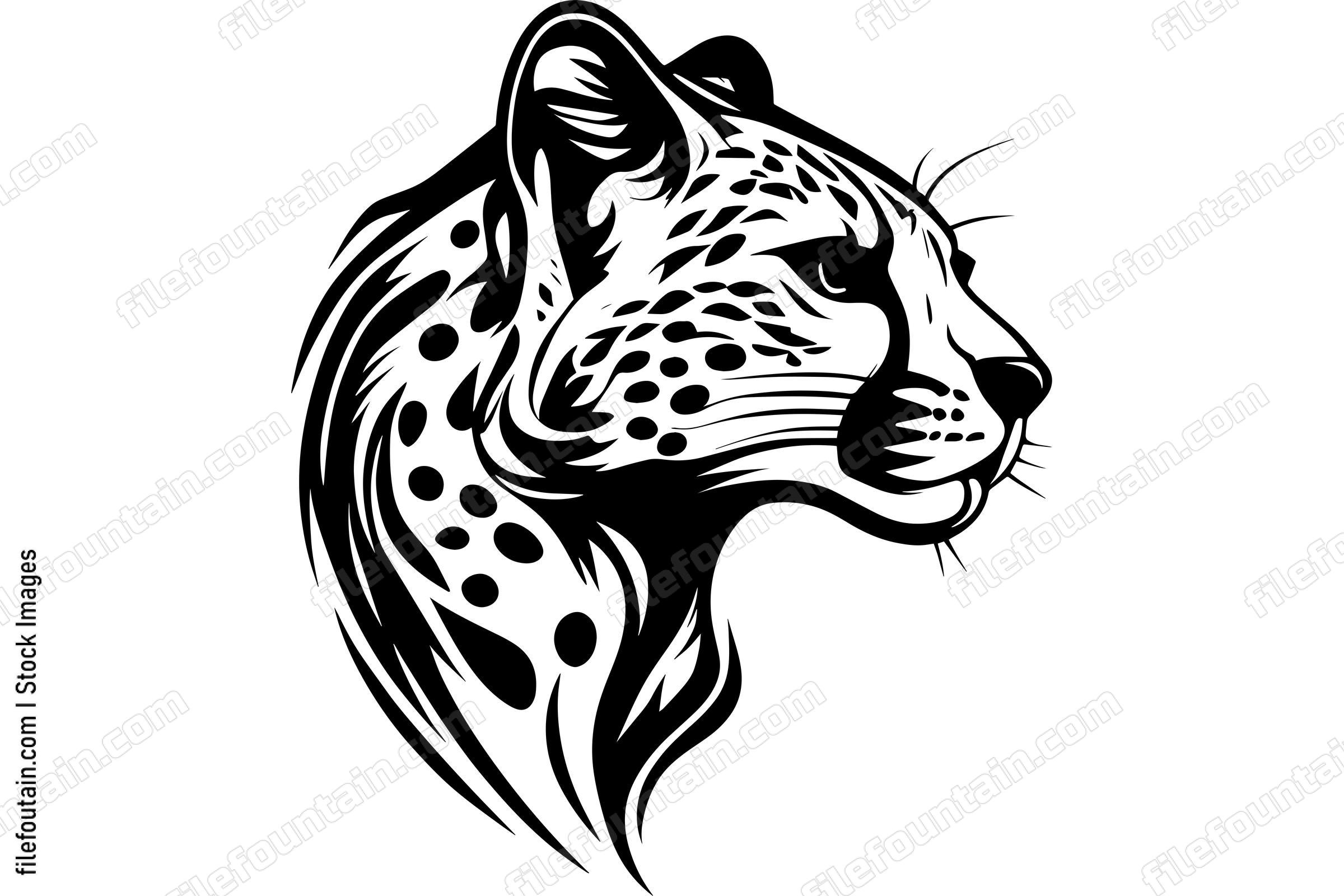 Cheetah