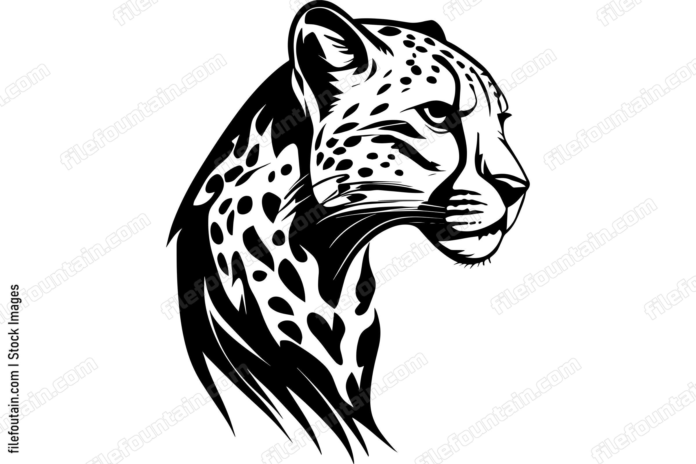 Cheetah