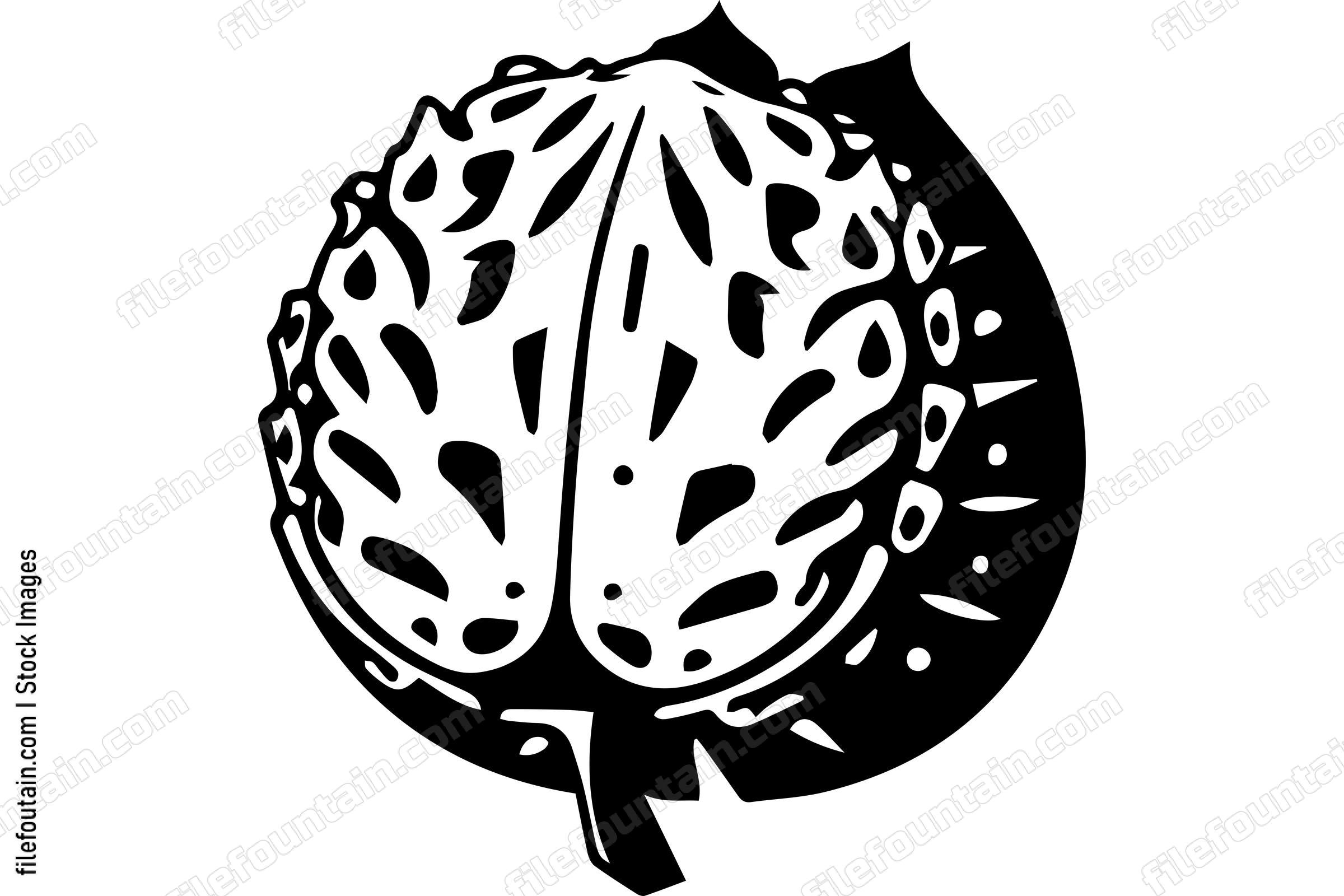 Cherimoya