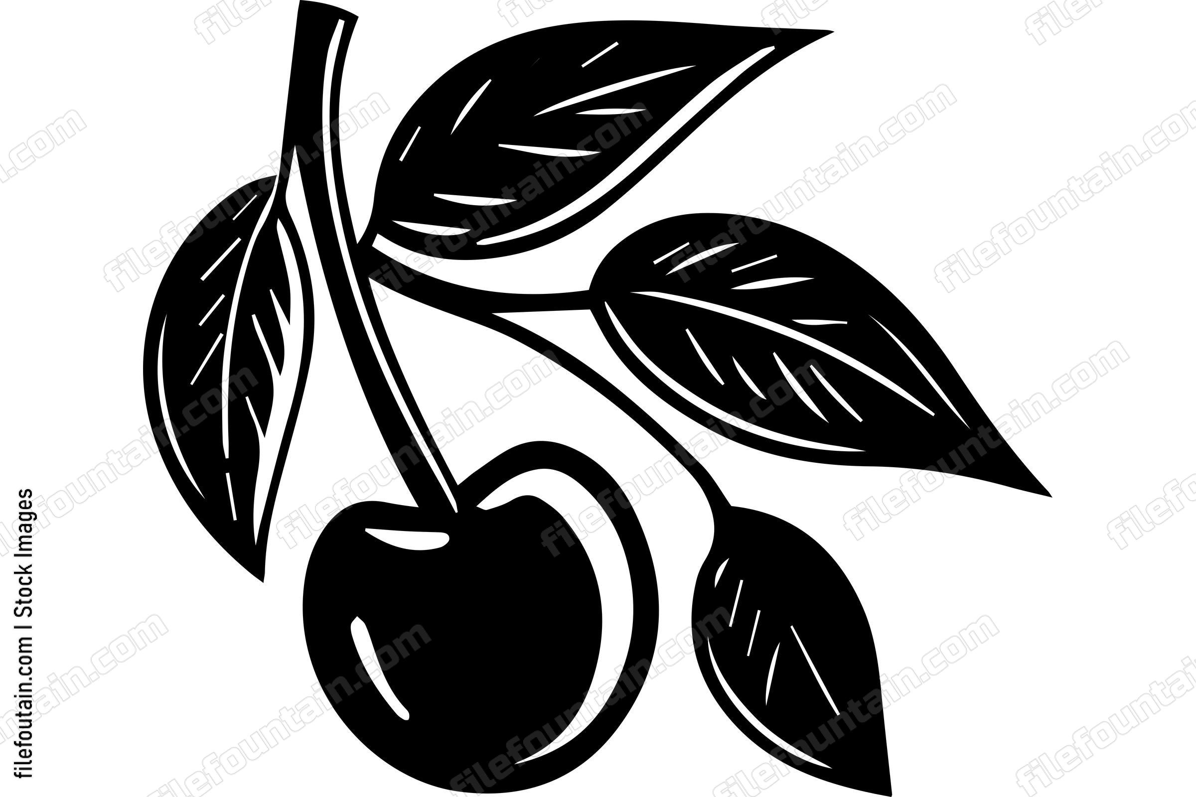Cherry