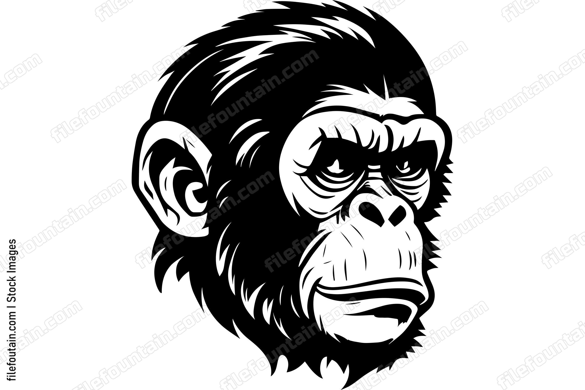 Chimpanzee