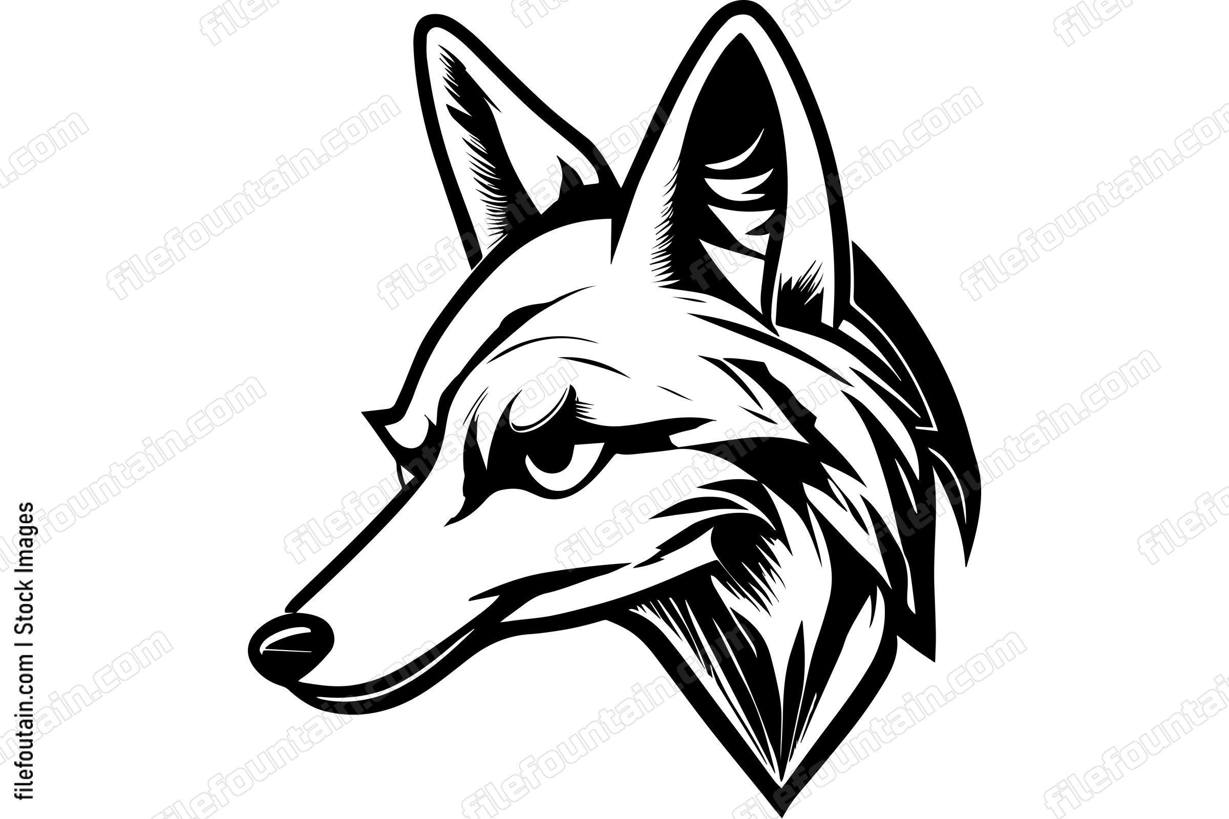 Coyote