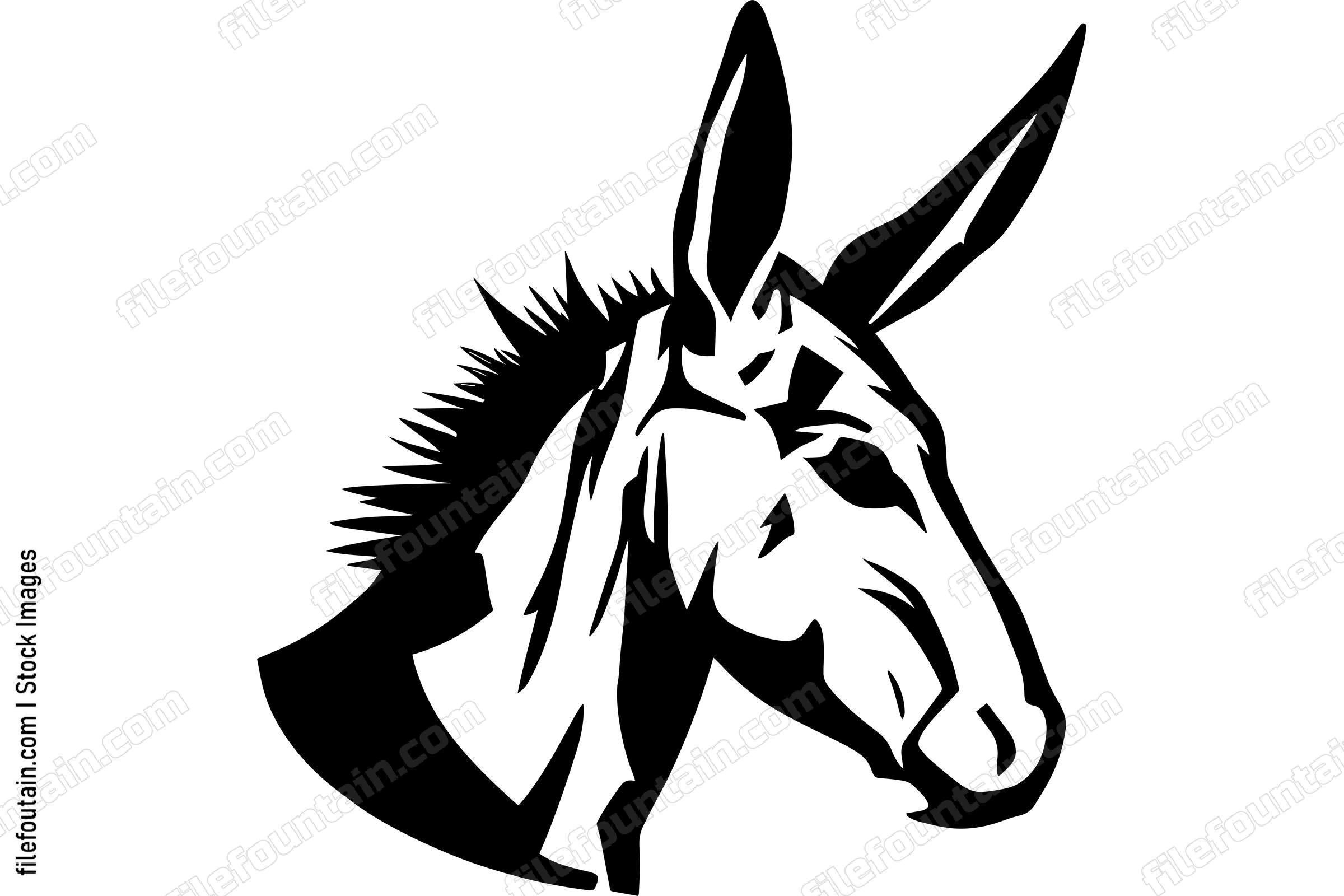 Donkey