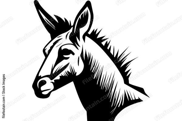 Donkey