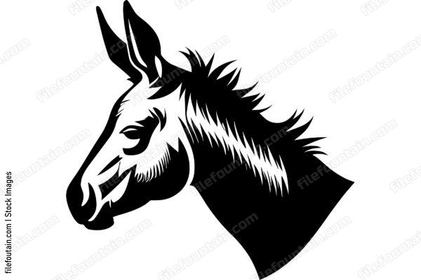 Donkey