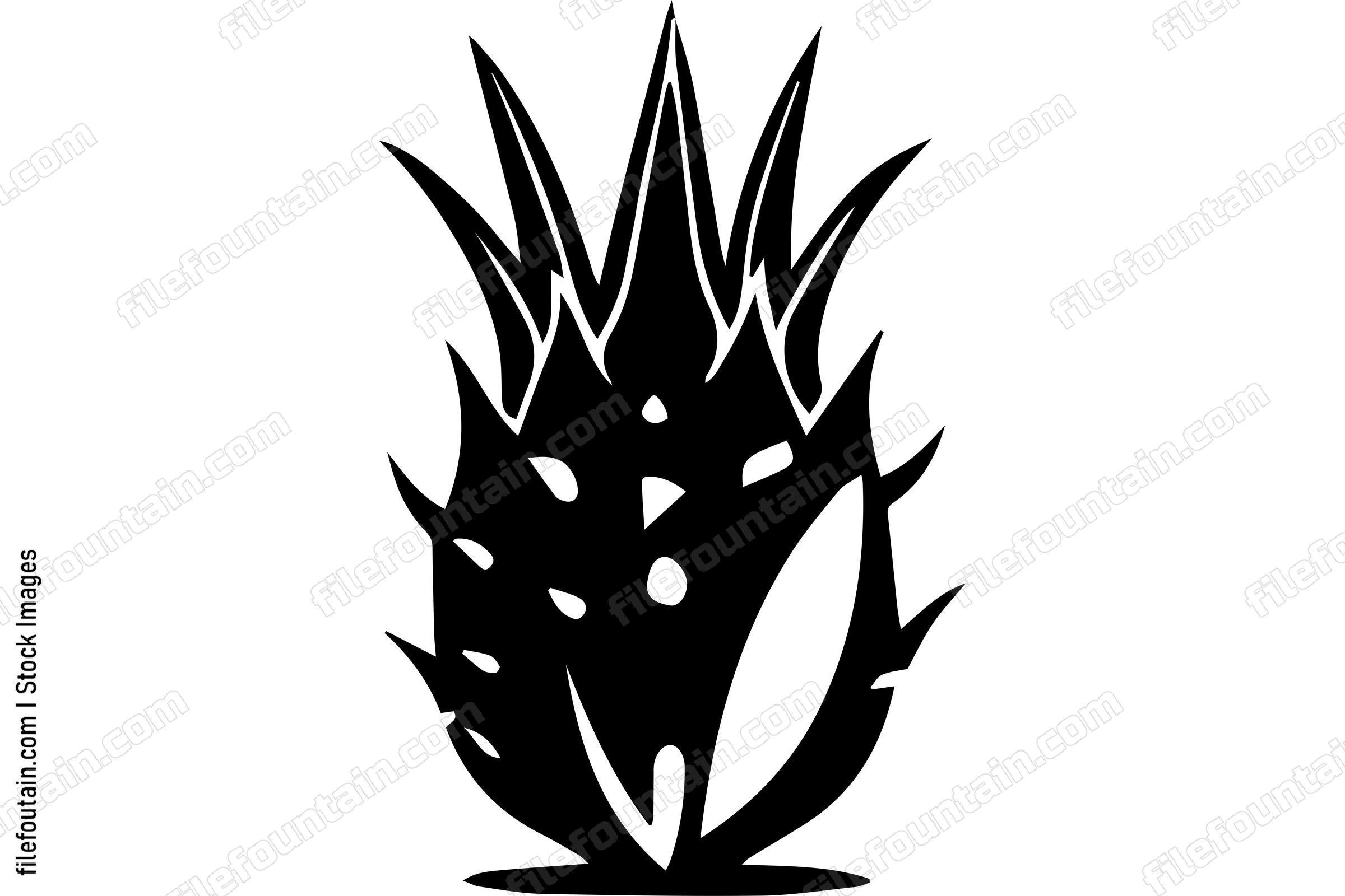 Dragonfruit