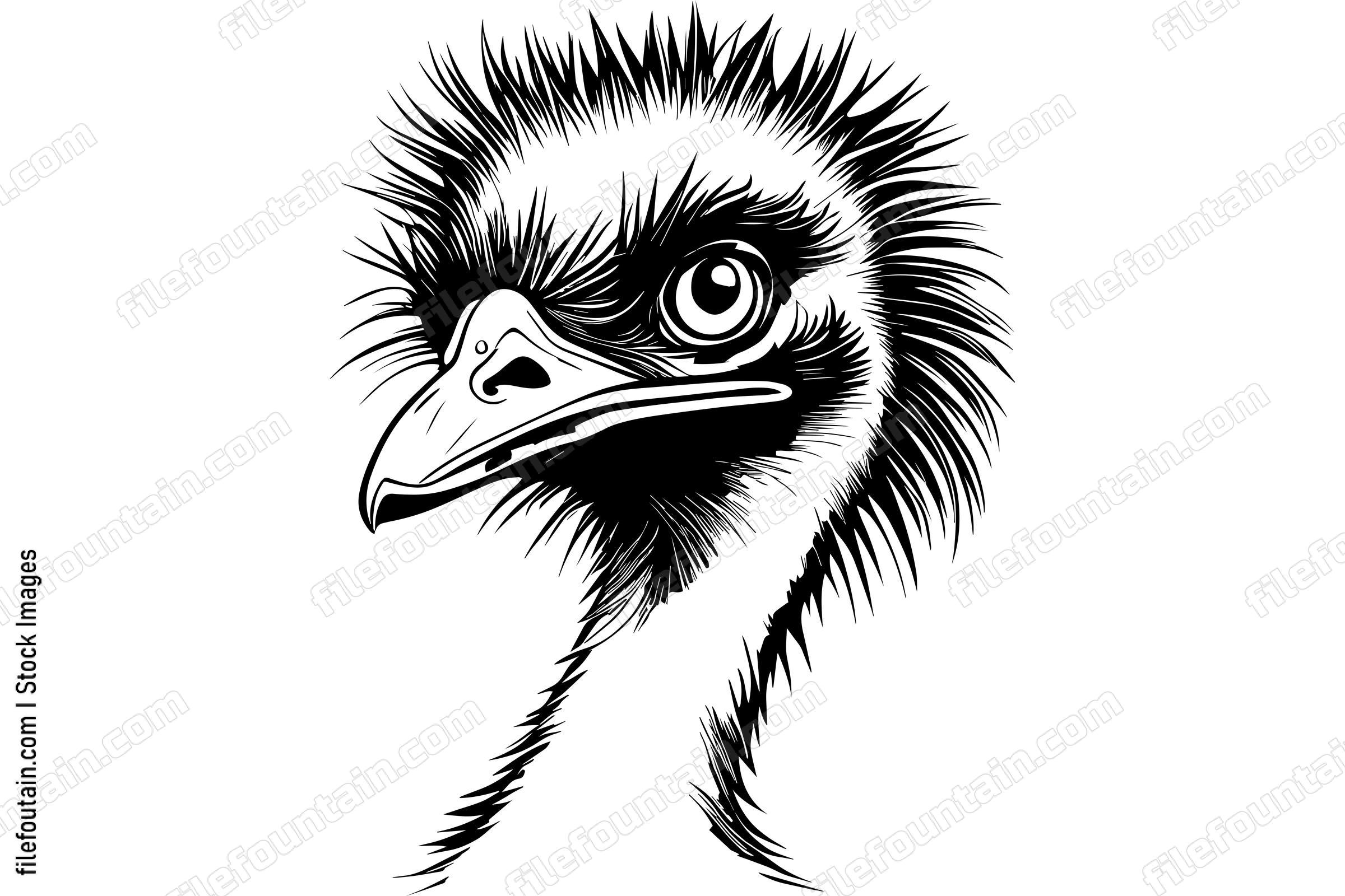 Emu