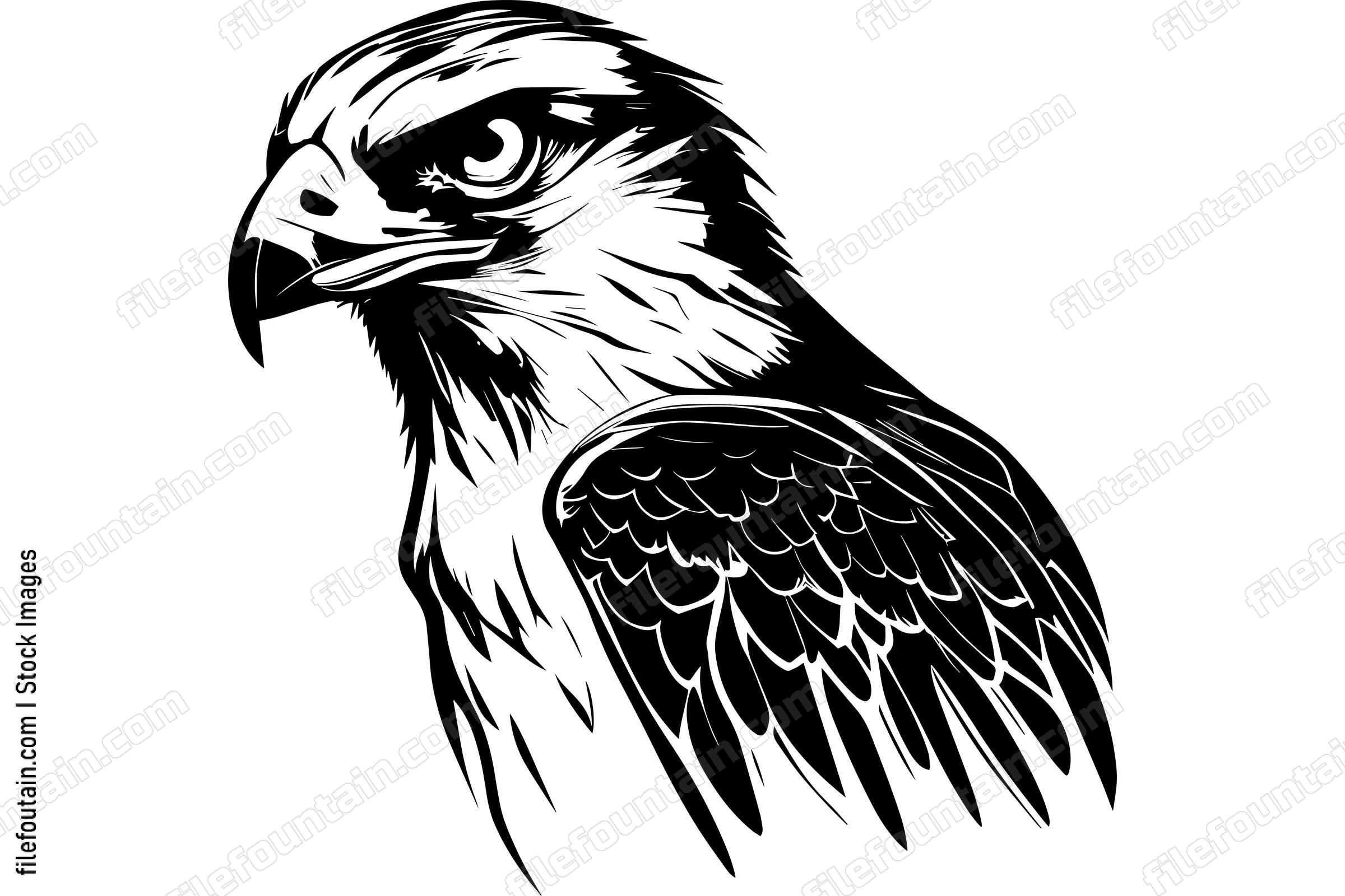 Falcon