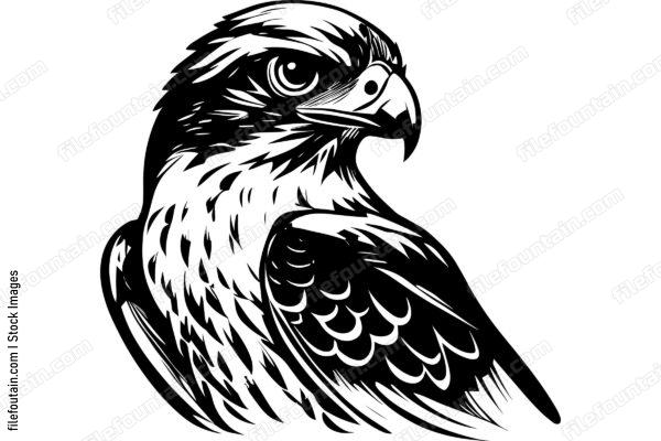 Falcon