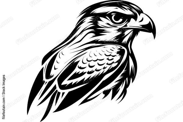 Falcon