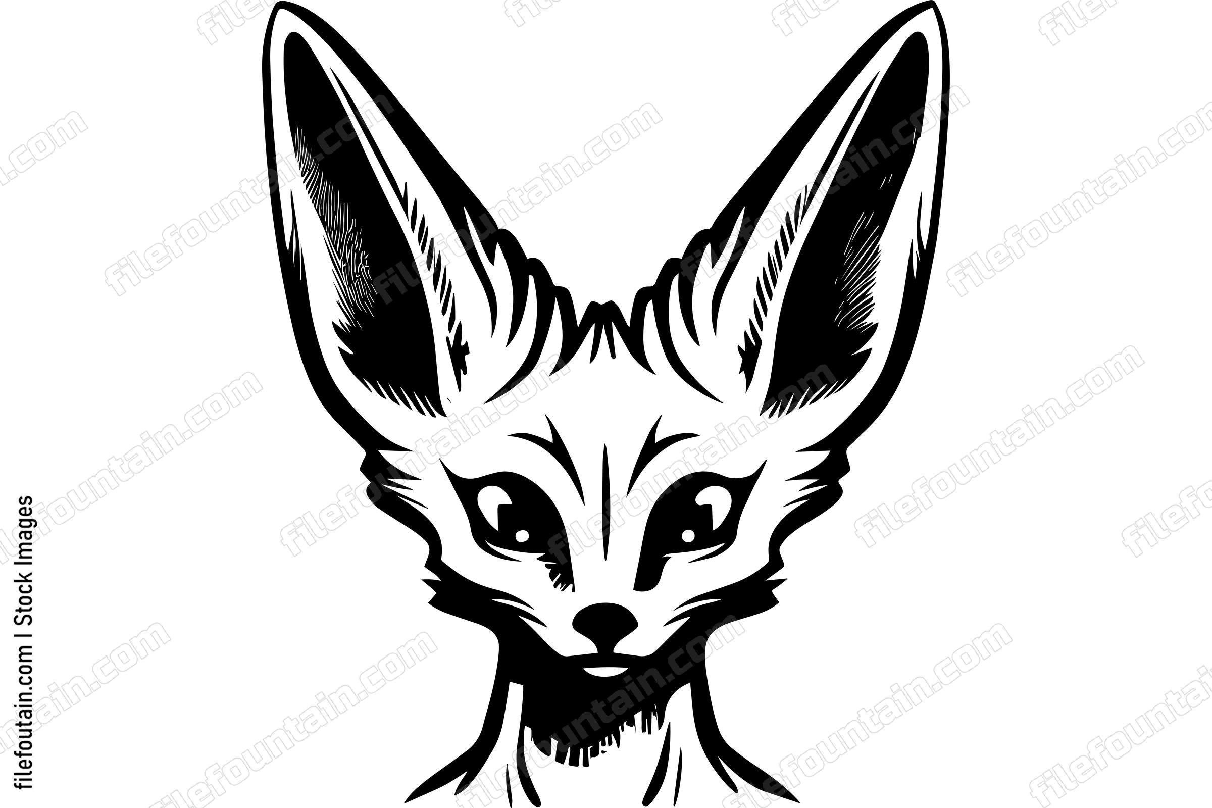 Fennec Fox
