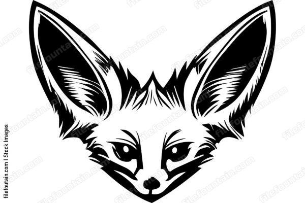 Fennec Fox