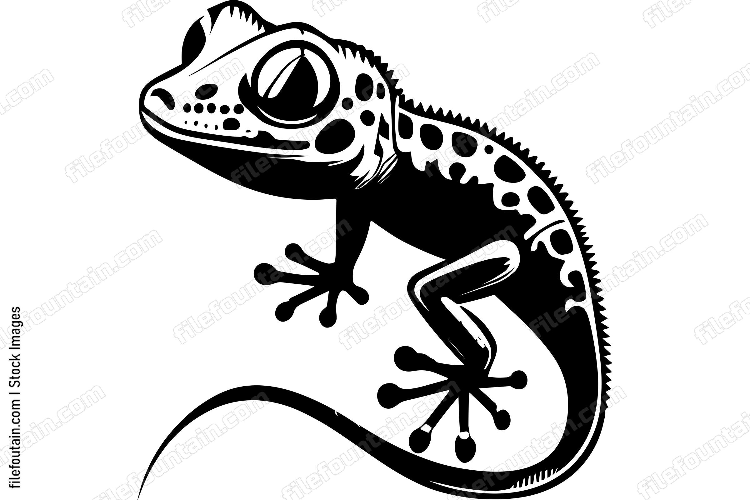 Gecko