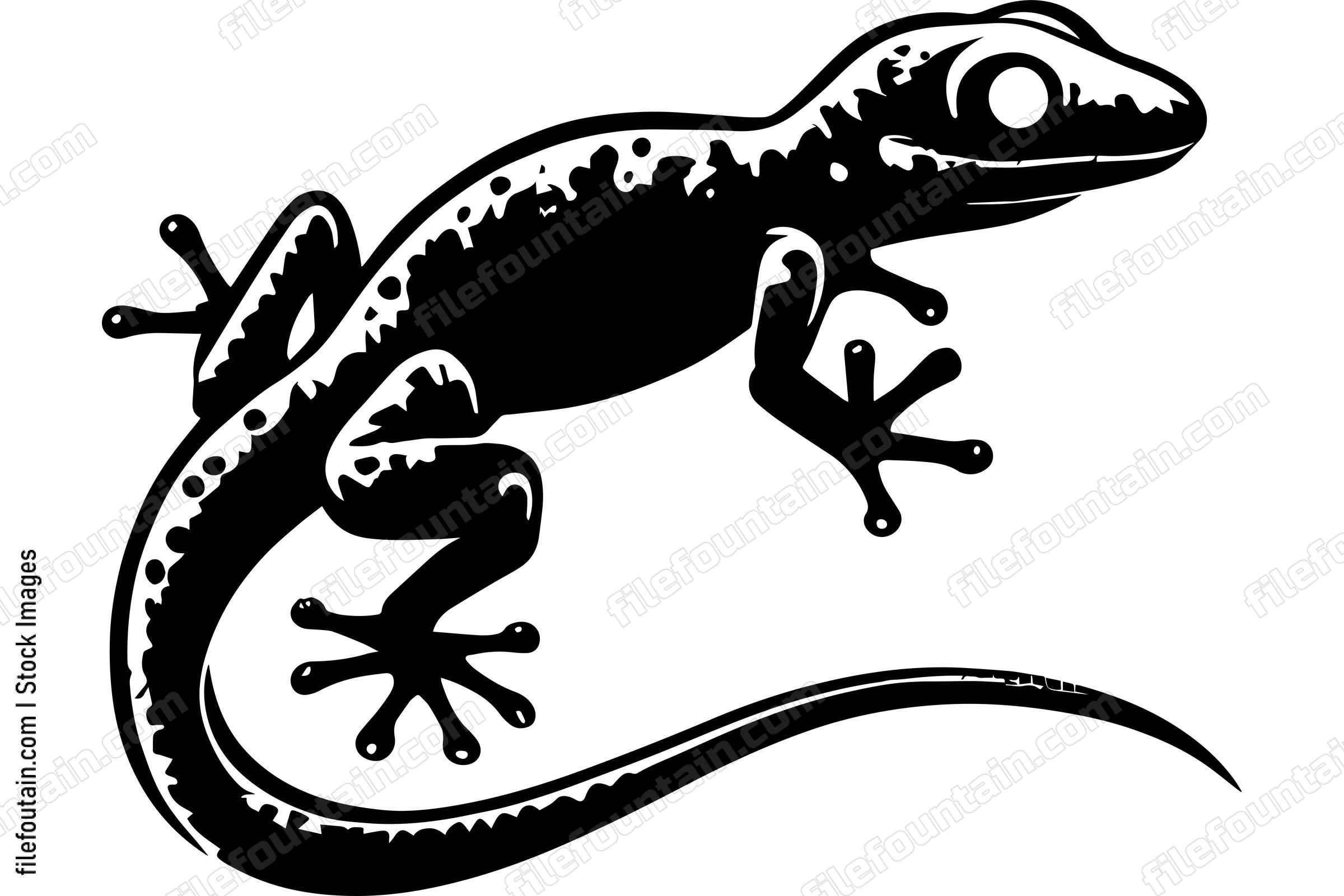 Gecko