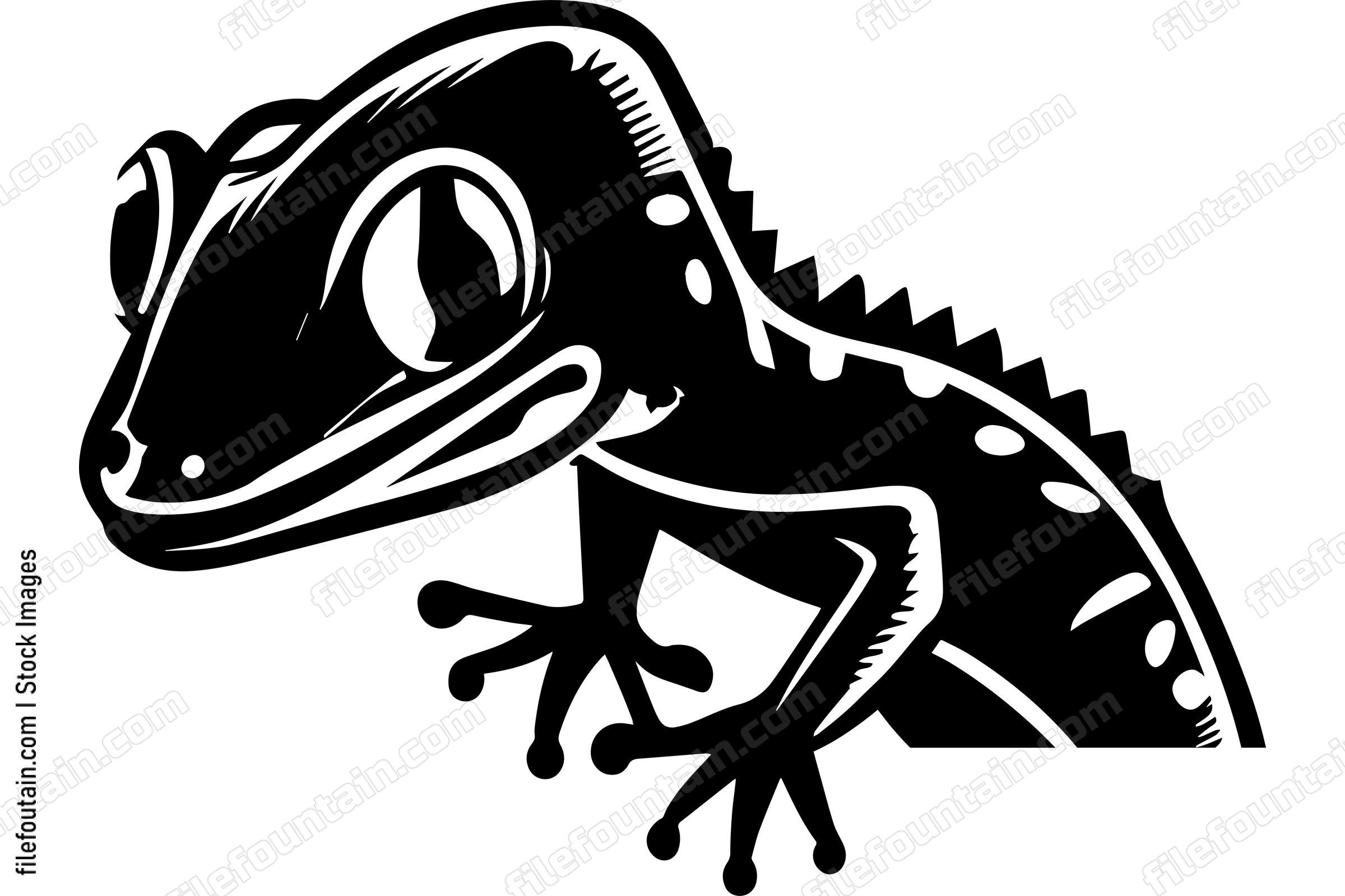 Gecko