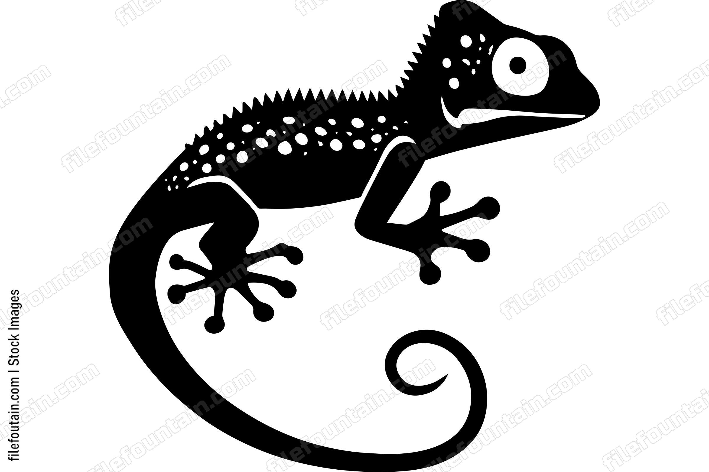 Gecko