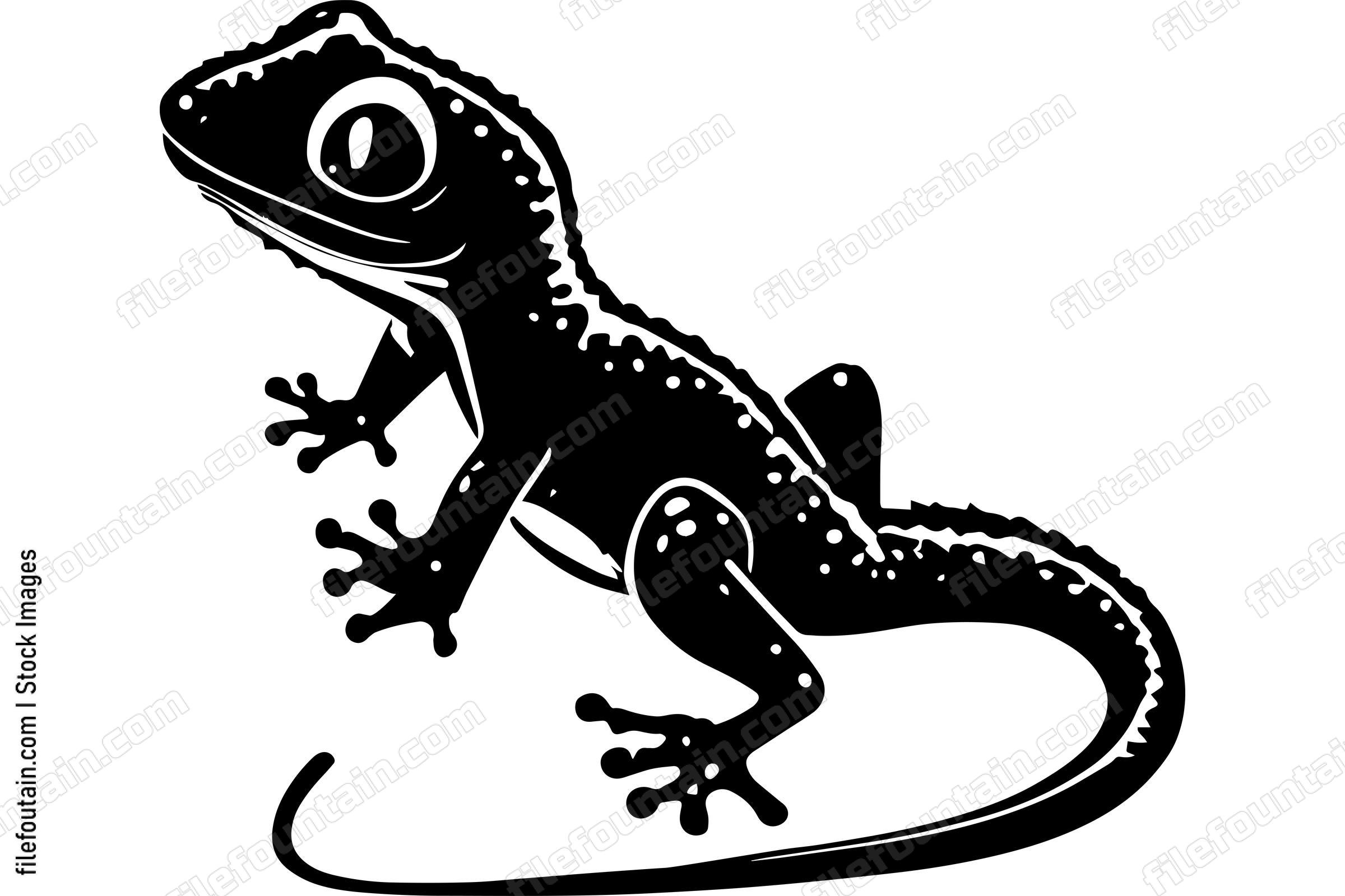 Gecko