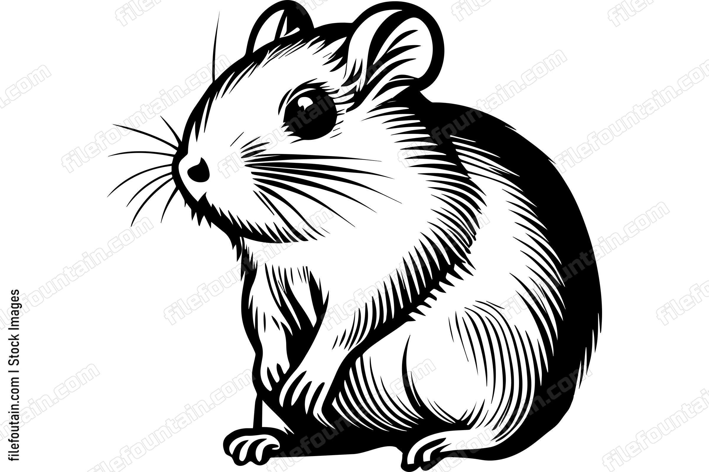Gerbil