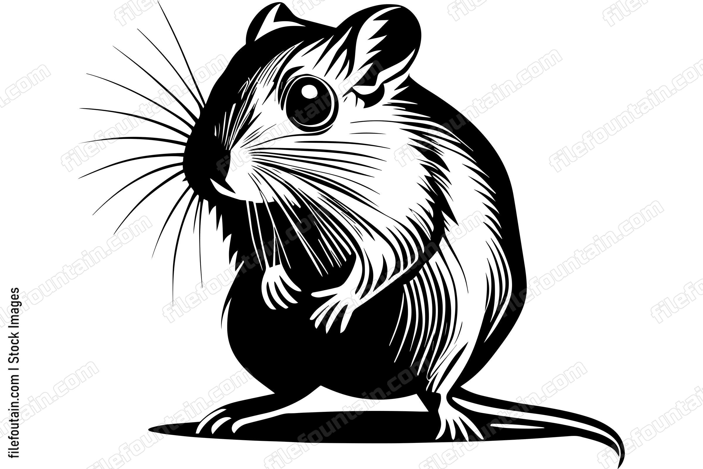 Gerbil
