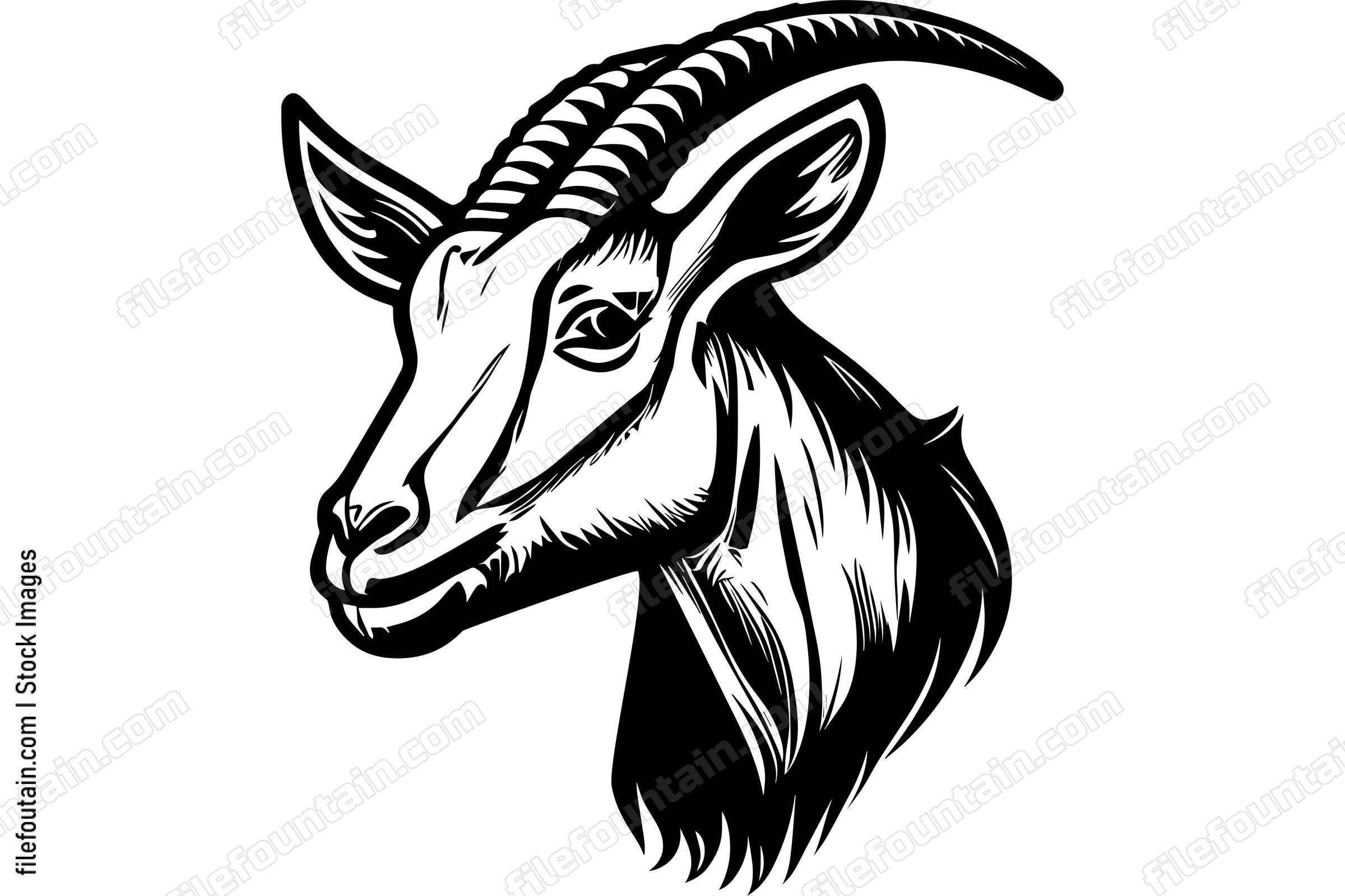 Goat