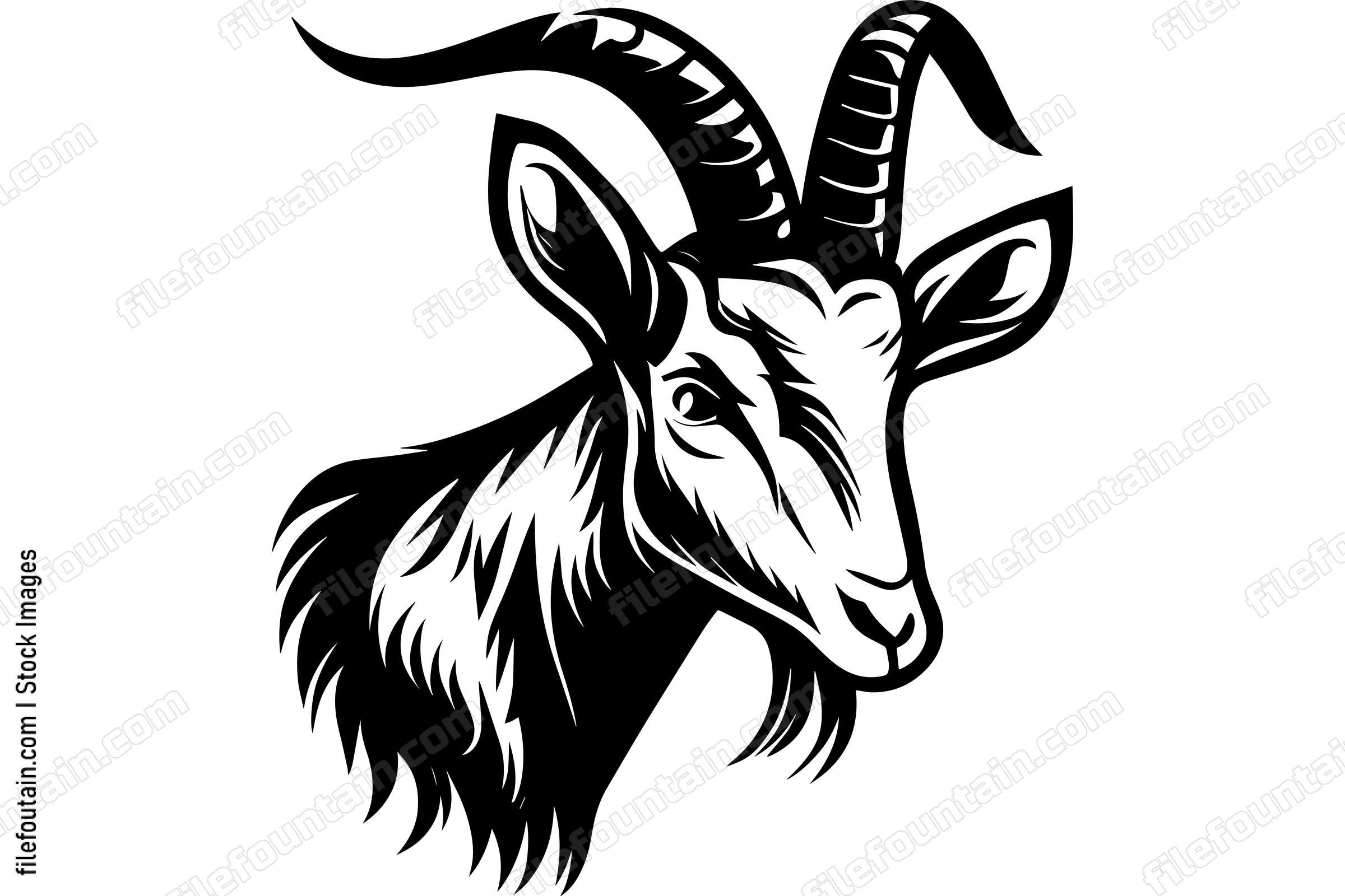 Goat