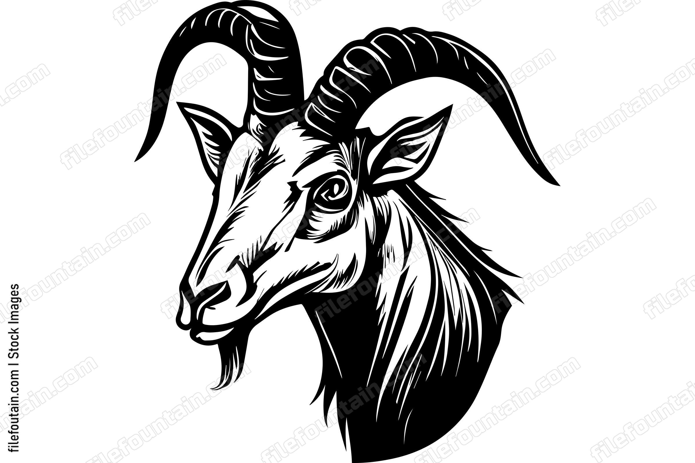 Goat