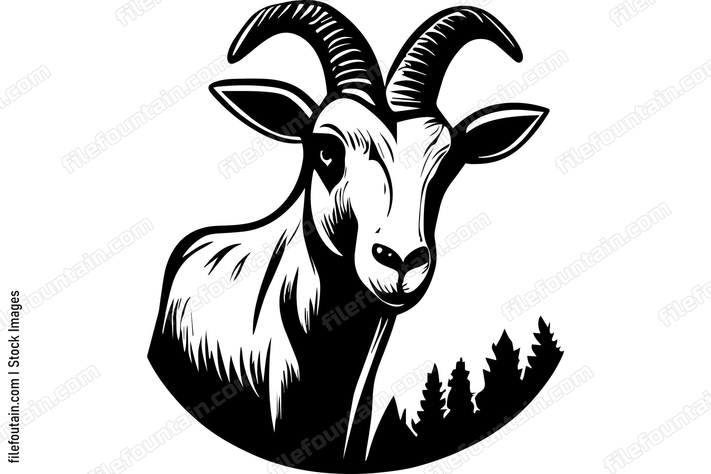 Goat