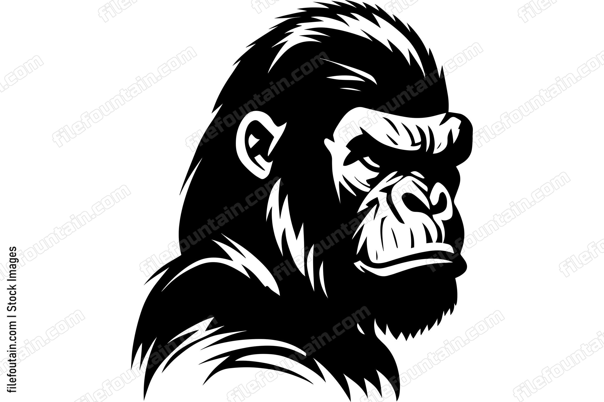 Gorilla
