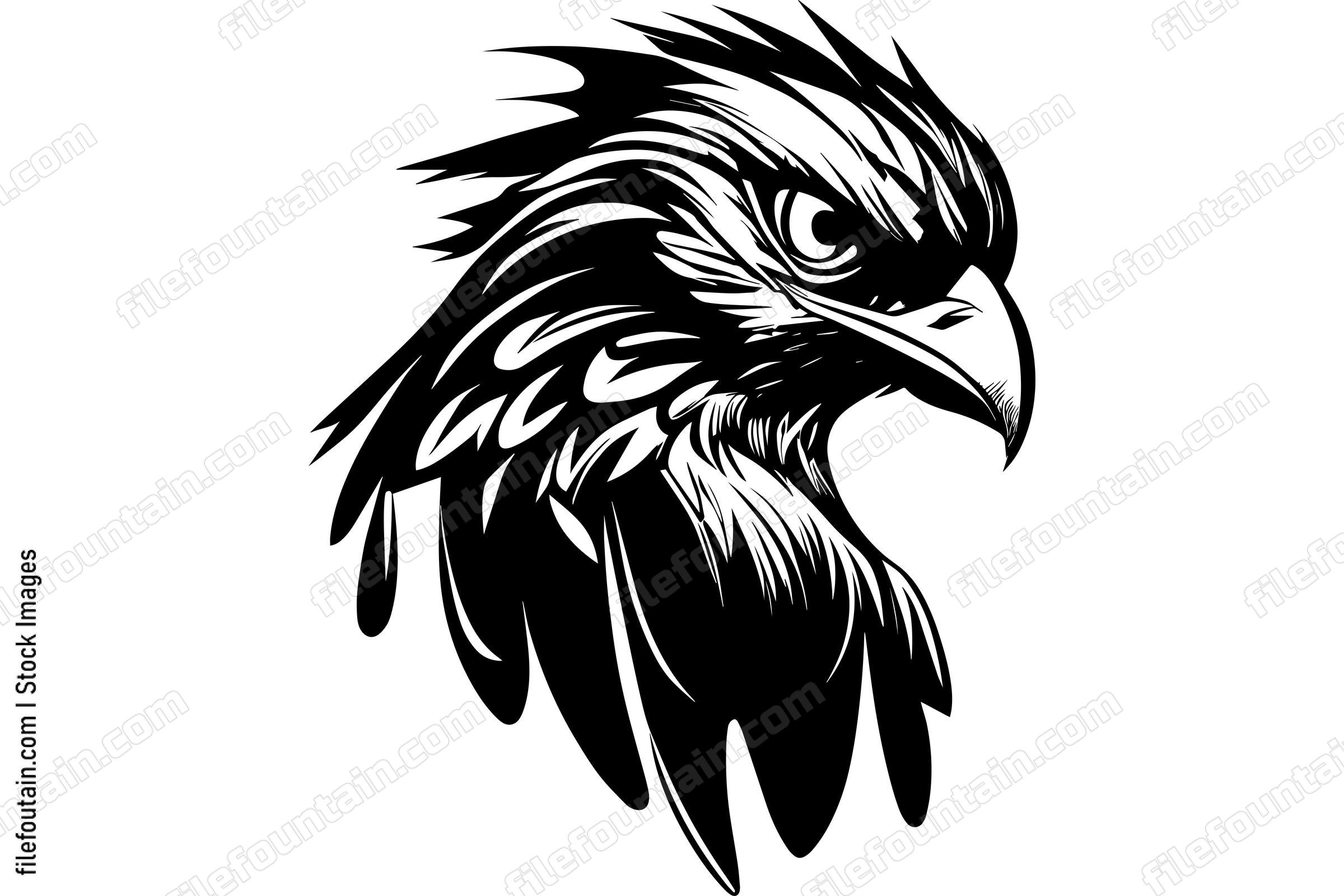 Hawk
