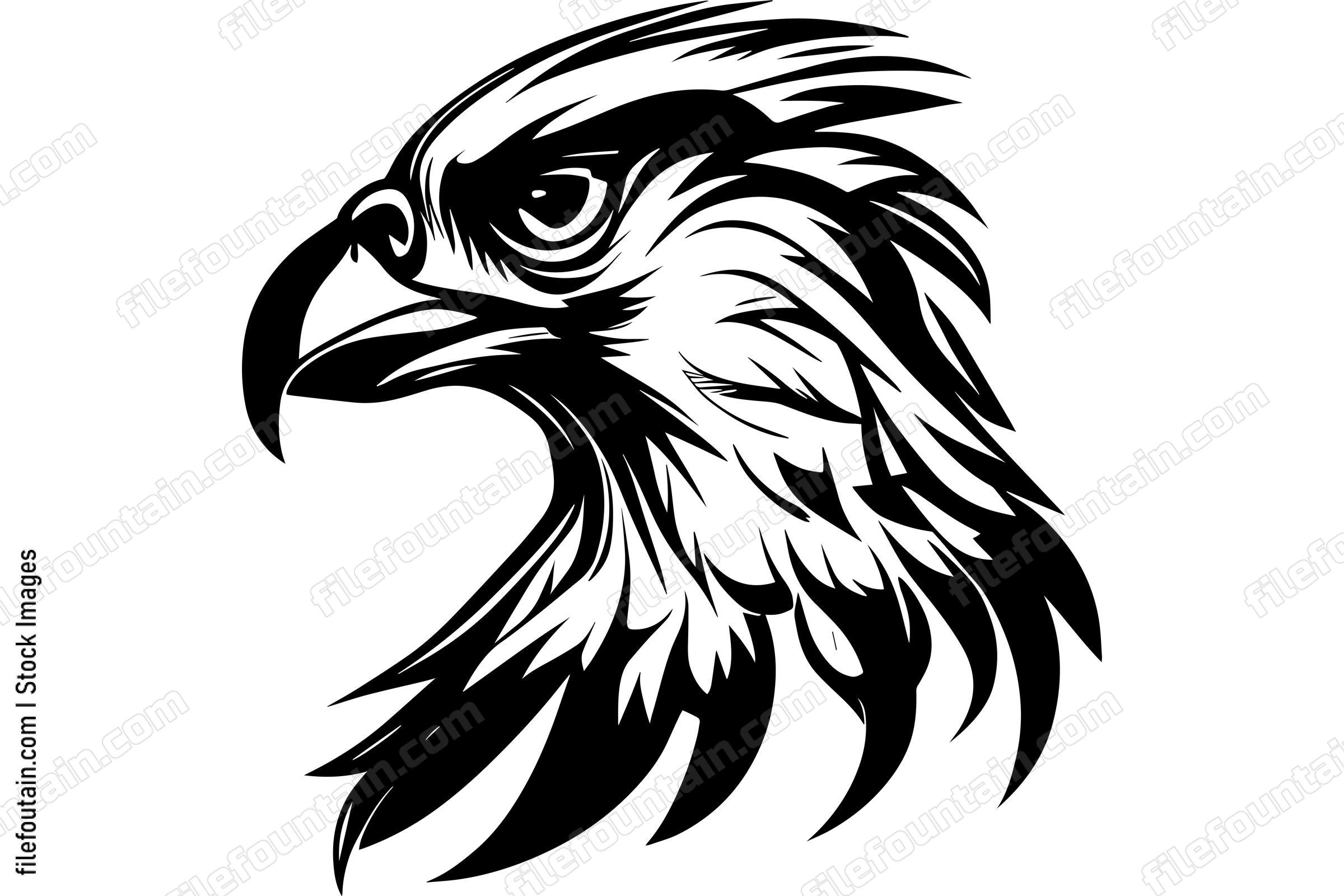 Hawk