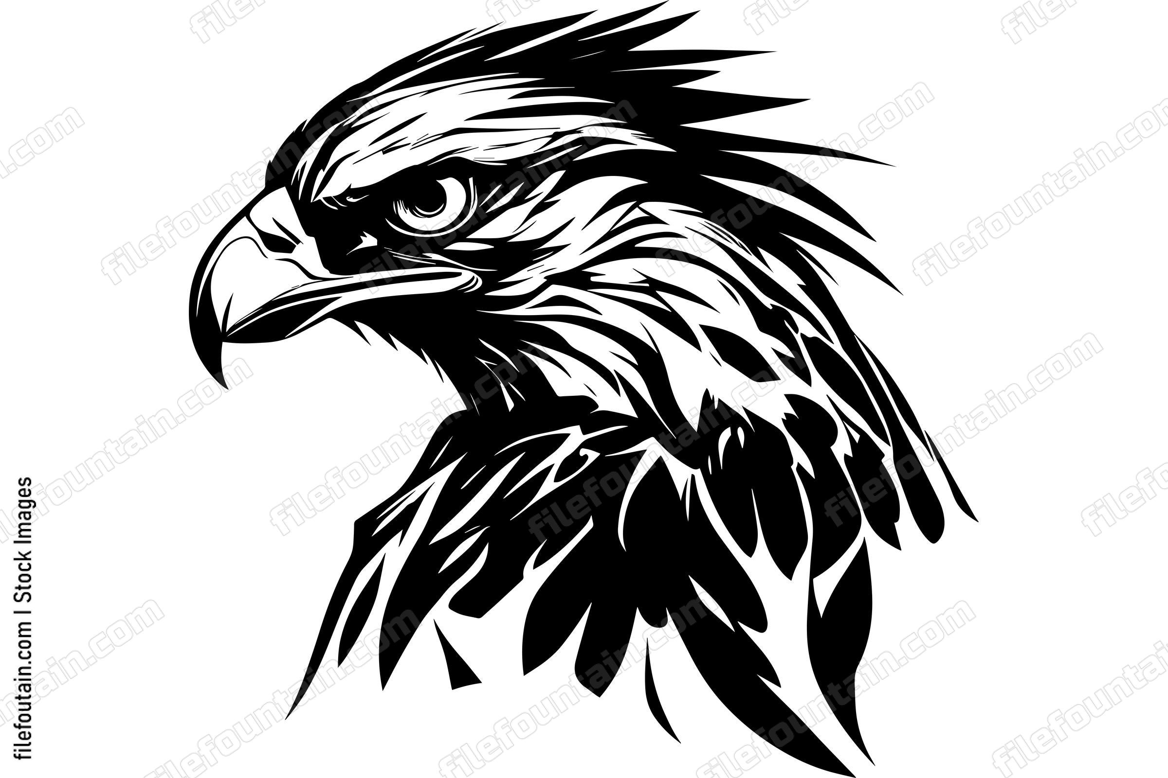Hawk