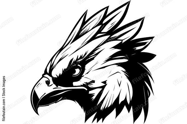 Hawk