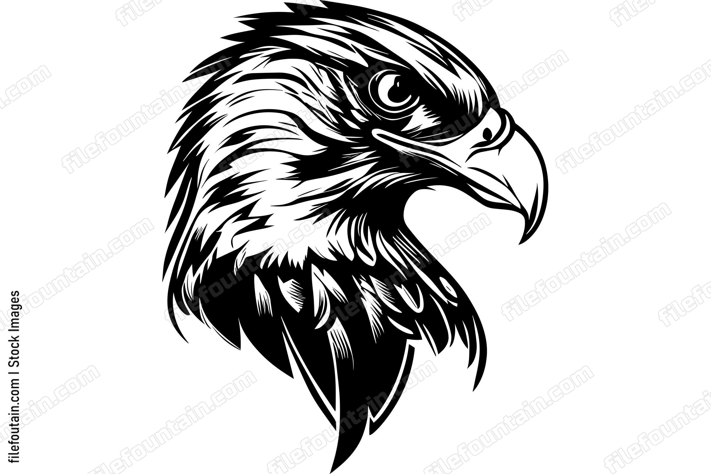 Hawk