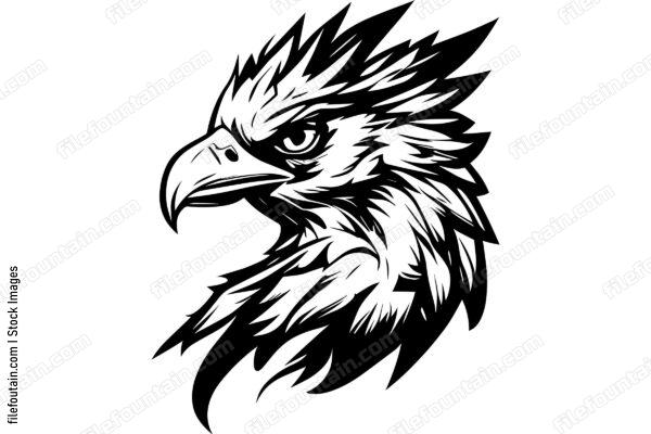 Hawk