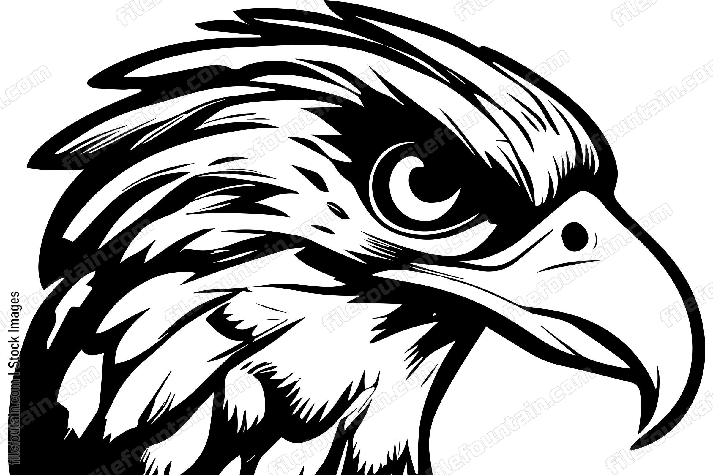 Hawk