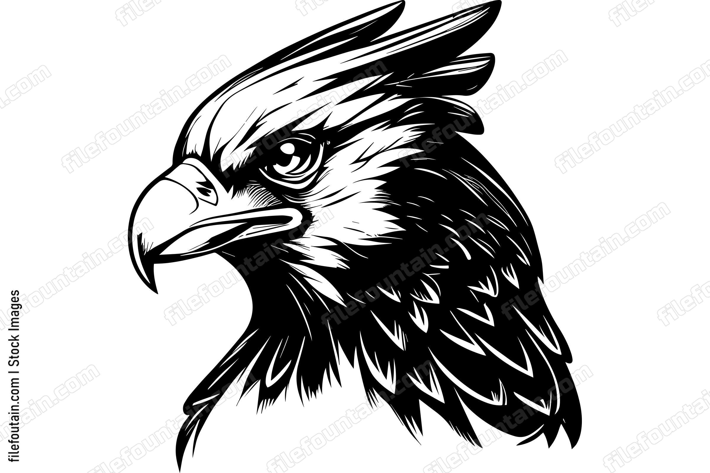 Hawk