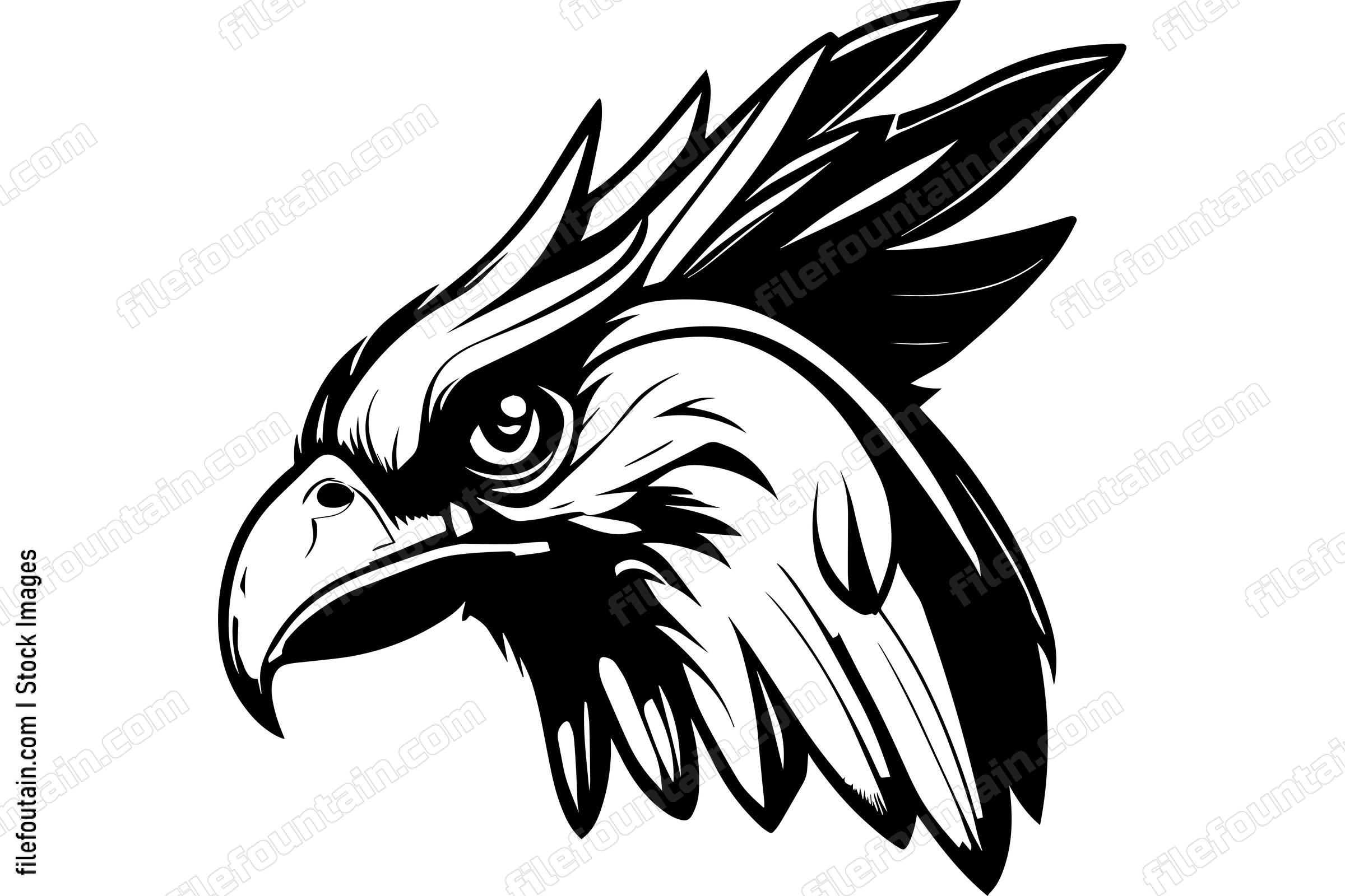 Hawk