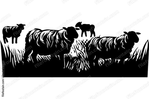 Herd Of Sheep Grazing In A Field