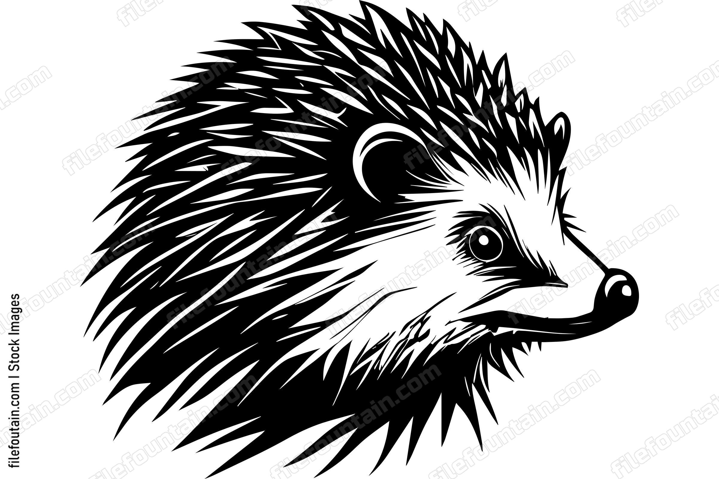 Hedgehog