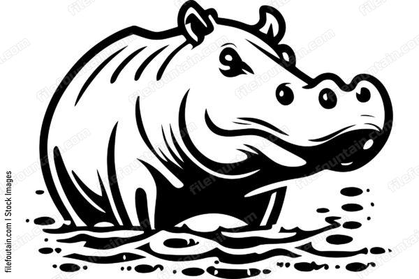 Hippo