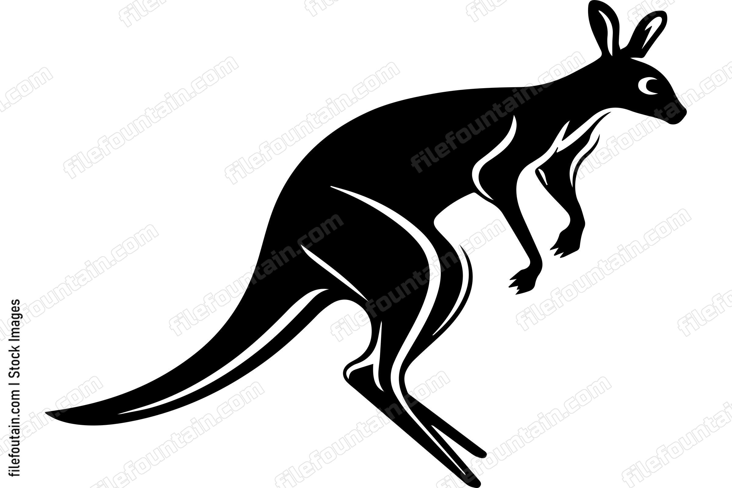 Jumping Kangaroo