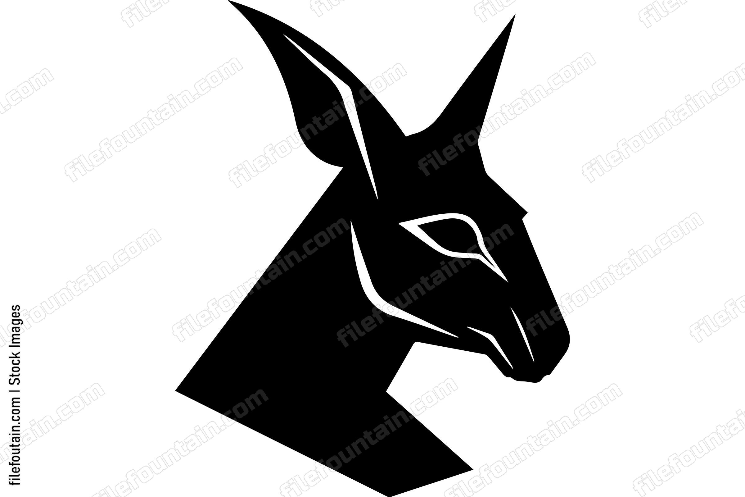 Kangaroo